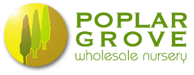 Poplar grove Wholesale Nursery